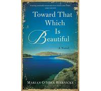 Toward That Which is Beautiful – A Novel