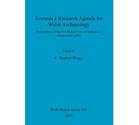 Towards a Research Agenda for Welsh Archaeology: Proceedings of the IFA Wales/Cymru Conference, Aberystwyth 2001: 343 (British Archaeological Reports British Series)
