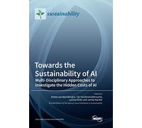 Towards the Sustainability of AI: Multi-Disciplinary Approaches to Investigate the Hidden Costs of AI