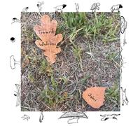 Towards Wholeness: A Visual Meditation on Human Life on Turtle Island