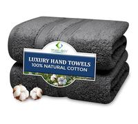 Towelogy Hand Towels - Super Soft 100% Cotton Highly Absorbent Hotel spa Bathroom Towel Collection | 50x80cm | Set of 2 (2, Ash)