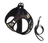 Tower Bridge in London Print Step in Dog Harness and Leash Set,Adjustable Reflective Harness for Small Dogs Cats
