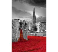 Tower of London poppy Photograph a 12"x18" Photographic Print of the poppies at the Tower of London Blood Swept Lands and Seas of Red and The Shard England portrait photo b/w picture