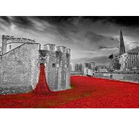 Tower of London poppy photograph a photographic print of the Tower of London poppies Blood Swept Lands and Seas of Red England landscape photo b/w picture (12" x 8")
