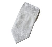 Towergem Extra Long Fashion Tie Paisley Men's Woven Jacquard Handmade Necktie (Light silver)