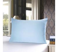 townssilk 100% 19 mm Pure Mulberry Silk Pillowcase for Hair and Skin Health, Pillowcase with Hidden Zip, 600 Thread Count, 1 Piece, Size 50 x 50 cm, Ice Blue