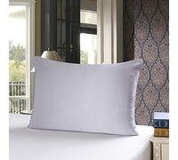 townssilk Both Side 100% 19mm Pure Mulberry Silk Pillowcase for Hair and Skin 40x70cm size Pillow Case Cushion Cover with Hidden Zipper 600 Thread Count Silver
