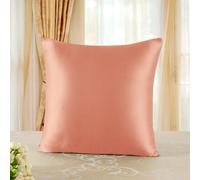 townssilk Both Side 100% 19mm Pure Mulberry Silk Pillowcase for Hair and Skin Health, 40x40cm size Pillow Case Cushion Cover with Hidden Zipper 600 Thread Count Coral