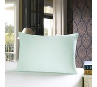 townssilk Silk Pillowcase, 100% Natural Mulberry Silk, 19 Momme, Two-Sided Silk, Oeko-Tex Certified, Soft for Skin and Hair, 1 Unit, 40 x 70 cm, Light Green