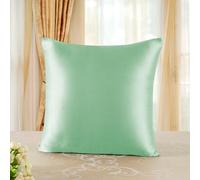 townssilk Silk Pillowcase 40x40cm - 100% Mulberry Silk, 19mm, Double-Sided Silk, Oeko-TEX Certified, 6A Grade, with Zipper, 1 Piece, Green