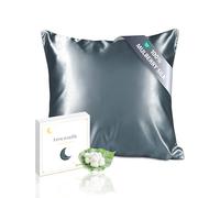 townssilk Silk Pillowcase, 65 x 65 cm, 100% Natural Mulberry Silk, 19 Momme, Two-Sided Silk, Oeko-Tex Certified, Soft for Skin and Hair, 1 Piece, Blue Grey