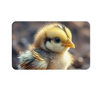 TOXOCMDKLE Door Mat Non-Slip Welcome Mats Chicken Chick Doormat Machine Washable Front Floor Mats Indoor Outdoor Entrance Mat Waterproof Rug For Bedroom Bathroom 80 X 49cm