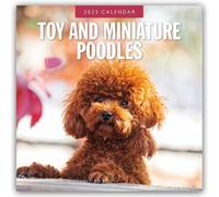 Toy and Miniature Poodles 2025 Square Wall Calendar by Red Robin 9781804425176