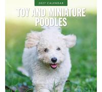 Toy and Miniature Poodles - 2027 Square Wall Calendar - by Red Robin Publishing