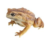 Toy Frogs Mini Cute Educational
