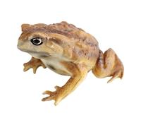 Toy Frogs Realistic Educational Cute Mini