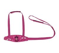 Toy horse harness QHP Sterrin