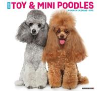Toy & Miniature Poodles 2025 Wall