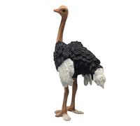Toy Model - Realistic Lifelike Ostrich Figurine | Educational Wildlife Animal Toy for Boys & Girls | Simulated Learning Model for Cognitive Development
