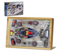 TOY PLAYER Ideas 3D Wall Art Racing Car Building Block Set, F1 Car Model Disassembly Painting Kit with Frame for Desk and Wall Decoration, Gift for Adults and Boys (738 Pieces)