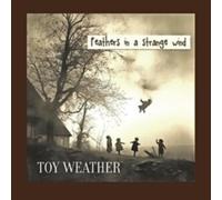 TOY WEATHER - FEATHERS IN A STRANGE WIND - Vinyl Record - K72z