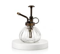 Toyana Glass Plant Mister Spray Bottle - 200ml, Vintage Indoor Plant Sprayer with Plastic Top Pump & Adjustable Brass Nozzle Water Spray Bottle for Houseplants