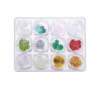 TOYANDONA 1 Box Snowflake Nail Art Glitter Manicure Sequins Sequins Box Package Easy to Use for Christmas Thanksgiving Personal Use Women Professional Manicurist