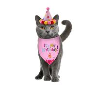 TOYANDONA 1 Set Dog Birthday Party Hat and Saliva Towel Set for Pets One Pink for Puppy Celebrations and Keeping Your Dog Clean