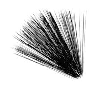 TOYANDONA 1 Set Realistic Simulation Cat Whiskers for Handmade Crafts Lightweight Whiskers for Stuffed Dolls and Needle Felting Projects Compatible with Plush and Figurines