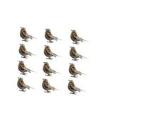 TOYANDONA 12pcs Simulated Small Sparrow Figurines Lifelike Fake Bird Decorations for Garden Home Office Desktop and Tree Adornments Random Color