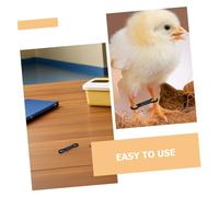 TOYANDONA 150PCS Elastic Chick Leg Bands for Poultry Leg Correction and Identification Comfortable Hobbling Braces of Newly Hatched Day Old Chicks Easy Application and Secure Fit