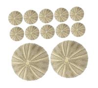 TOYANDONA 18pcs Natural Green Sea Urchin Shells Vase Filler for Aquarium Landscaping Ornaments DIY Craft Materials Artistic Seashells for Home Decor Wedding and Commercial Displays