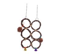 TOYANDONA 1pc Bird Swing Circle for Parrots Birds Chew Play Hanging with to Enjoy Together Enhances Fun Intelligence