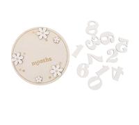 TOYANDONA 1set Wooden Discs Monthly Growth Markers for Newborns Elegant Nursery Decor Lightweight Photo Props for Boys Girls Safe Smooth