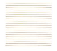 TOYANDONA 20pcs DIY Kite-Making Bamboo Support Sticks Flat 3mm X 2mm X 50cm Bamboo Dowels for Craft Projects and School Activities