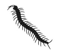 TOYANDONA 24Pcs Realistic Simulation Centipede Prank Props Halloween Trick for Scaring Friends for Parties April Fool Day Scary Bug Decorations