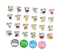 TOYANDONA 28pcs Baby Milestone Photo Cards for Pregnant Women Maternity Belly Stickers Pregnancy Milestone Cards