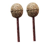TOYANDONA 2PCS Catnip Lollipop Molar Toys Chewable Cat Mint Balls for Indoor Cats Portable Wooden Catnip Balls for Teething and Playing