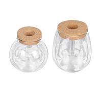 TOYANDONA 2Pcs Decorative Transparent Glass Plant Bottles Indoor Hydroponic for Small Greenery and Micro Landscape Display Compact Lightweight DIY Containers for Home Office