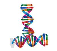 TOYANDONA 2pcs Dna Double Helix Model Kit for Assembly Educational Science Teaching Instrument Molecular Biology for Classroom Learning and Interactive Gene Study