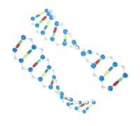 TOYANDONA 2pcs Double Helix Dna Model Kit Educational Science Teaching Tool for Students and Teachers Biology Structure Components for High School and University Laboratory Research