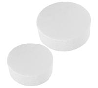 TOYANDONA 2pcs Foam Cake Models 8-inch 10-inch Round Bakery Cake Dummies for Fondant Modelling for Home Party Use