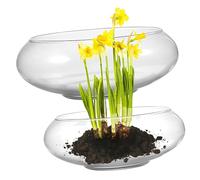 TOYANDONA 2pcs Glass Fish Bowl Vase Narcissus Pot Geometric Shape Plant Bowls for Terrarium Home Decor