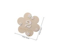 TOYANDONA 2pcs Handmade Wooden Arrival Announcement Sign with Floral Monthly Milestone Set for Newborn Growth Record Elegant Nursery Decor Keepsake for Photoshoots and Birth Celebration