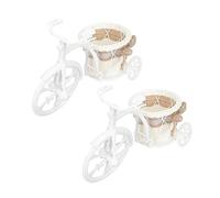 TOYANDONA 2pcs Mini Bicycle Woven Flower Basket Rattan Style Flower Decor Small Basket for Home Decor