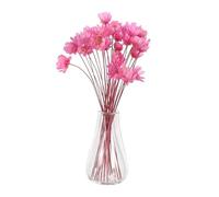 TOYANDONA 2pcs Miniature Dried Flower Vase with Tiny Eucalyptus and Wildflowers Sturdy Transparent Glass Mini Vases for Dollhouse Decor Compact Mini Potted Plants Gift-ready Dollhouse
