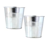 TOYANDONA 2Pcs Multi Functional Succulent Pots Classic Iron Flower Buckets for Home Office Decoration Plant Containers for Herbs and Bulbs Elegant Design for Garden