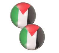TOYANDONA 2pcs Palestine Flag Brooch Metal Lapel Pins for Men Versatile Suit and Hat Accessories Symbolic Fashion Statement with Unique Contemporary Design