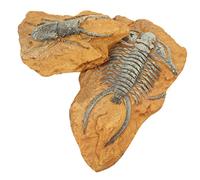 TOYANDONA 2Pcs Simulation Reptile Decors Resin Fossil Box Ornaments DIY Gecko Terrarium Decorations Lightweight Dark Atmosphere for Lizards Spiders Crabs