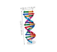 TOYANDONA 3 Pcs Dna Structure Model Kit with Realistic Double Helix Design for Classroom Gene Science Education Human Genes Learning Aid for Interactive Biology Experiments and Visual